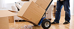 Removals & Relocations
